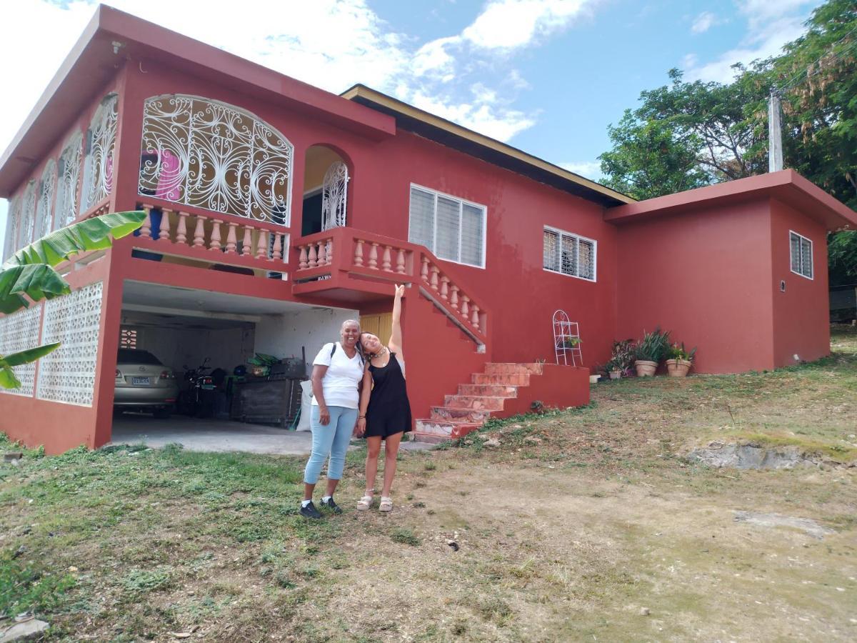 Mango Walk Homestay Montego Bay Exterior photo