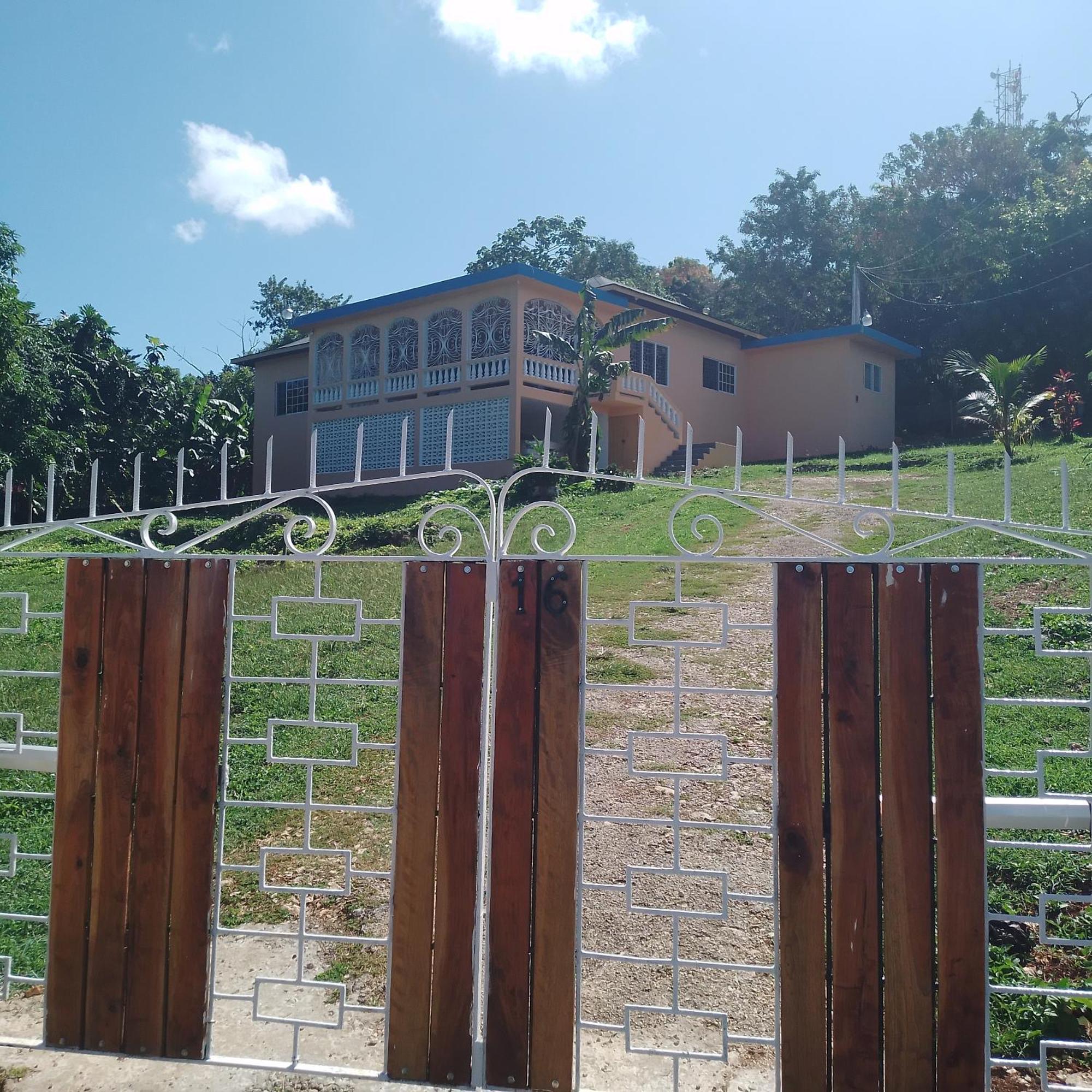 Mango Walk Homestay Montego Bay Exterior photo