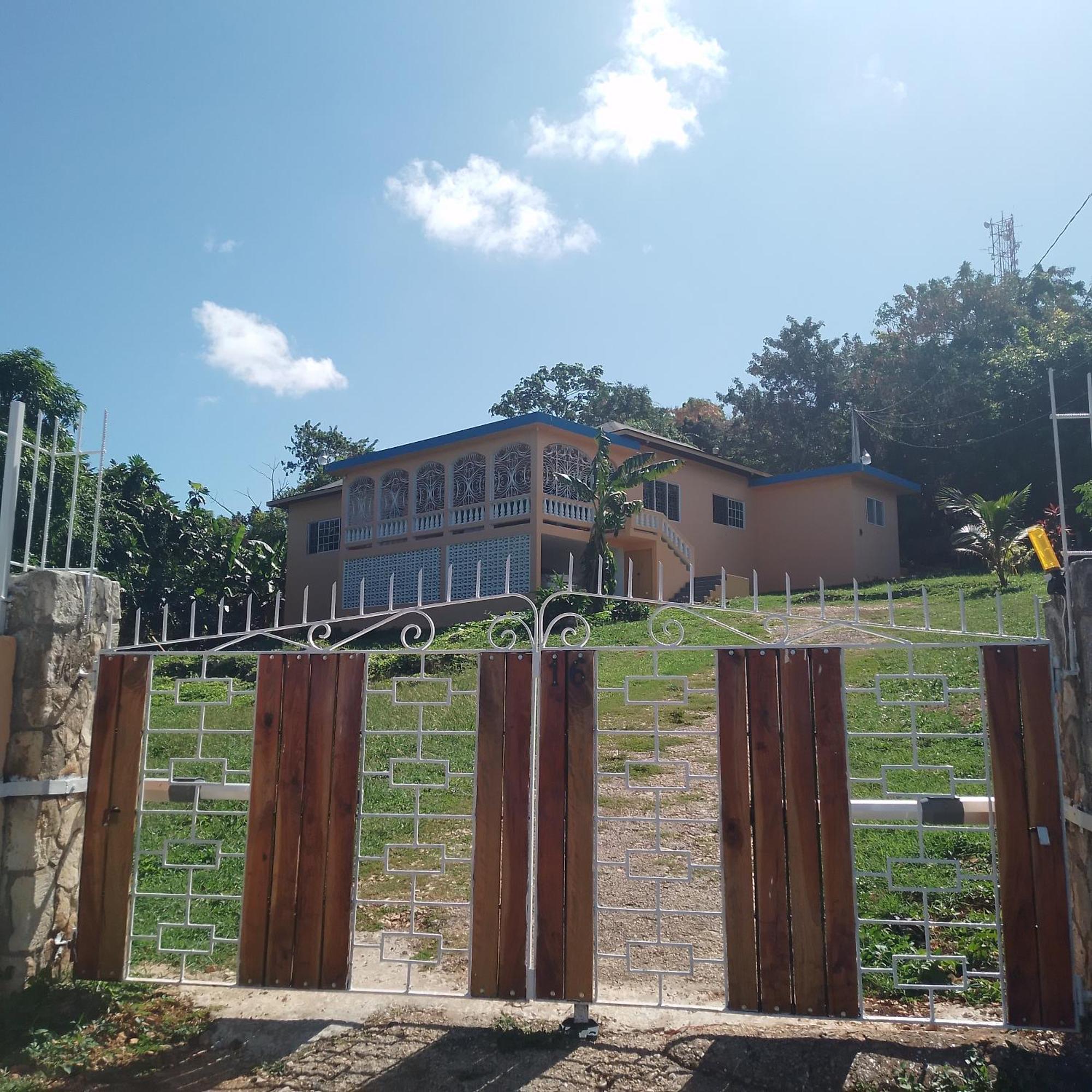 Mango Walk Homestay Montego Bay Exterior photo